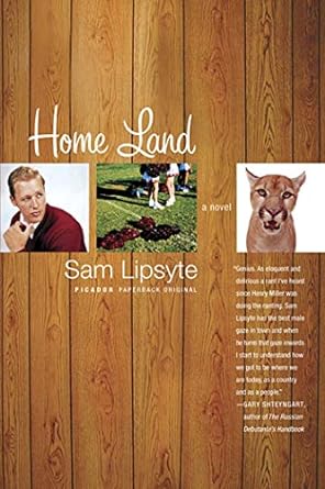 home land a novel  sam lipsyte 0312424183, 978-0312424183