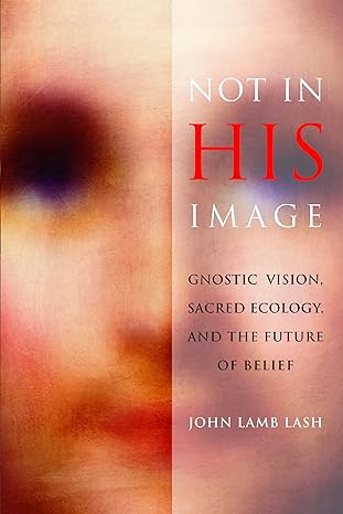 not in his image gnostic vision sacred ecology and the future of belief 1st edition john lamb lash