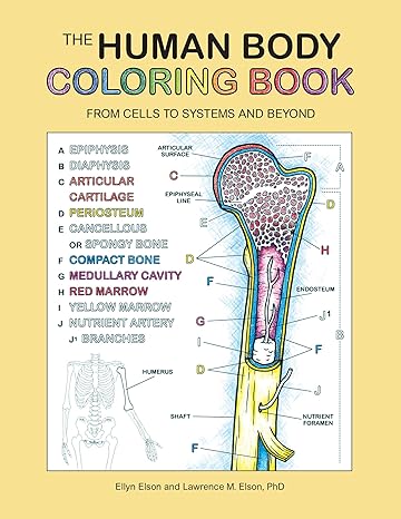 the human body coloring book from cells to systems and beyond 1st edition coloring concepts inc. 0063009757,
