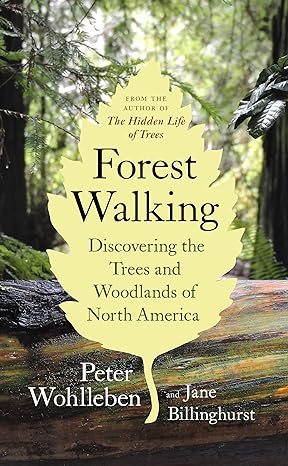 forest walking discovering the trees and woodlands of north america 1st edition peter wohlleben ,jane