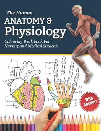 the human anatomy and physiology colouring work book for nursing and medical students 1st edition clement