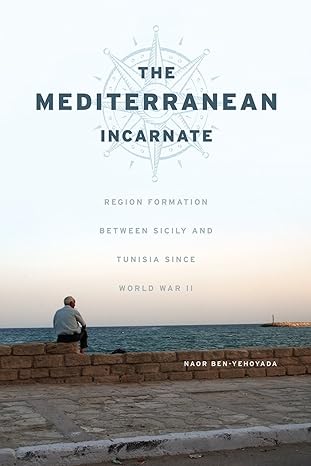 the mediterranean incarnate region formation between sicily and tunisia since world war ii 1st edition naor