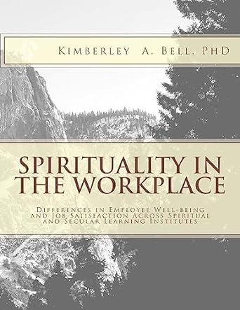 spirituality in the workplace differences in employee well being and job satisfaction across spiritual and