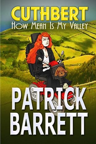 how mean is my valley  patrick barrett 1907954511, 978-1907954511