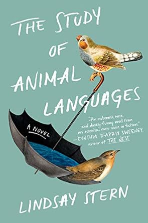 the study of animal languages a novel  lindsay stern 1984877623, 978-1984877628