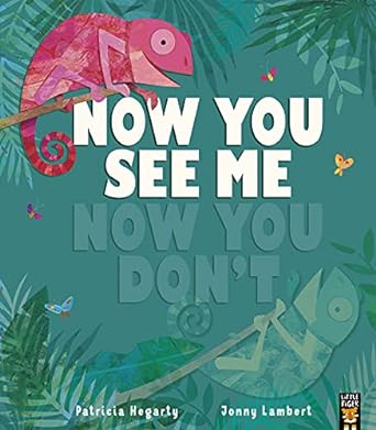 now you see me now you don t  patricia hegarty 1788816889, 978-1788816885