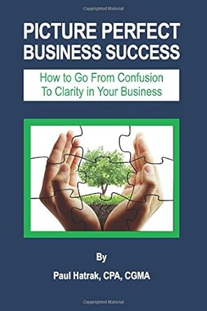 picture perfect business success how to go from confusion to clarity in your business 1st edition paul hatrak