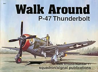 p 47 thunderbolt walk around no 11 1st edition lou drendel ,don cumpian, ernesto and greer 0897473752,