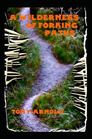 a wilderness of forking paths  tony arnold 979-8386732431