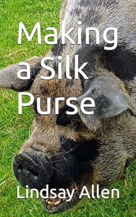 making a silk purse  lindsay allen 979-8853611627