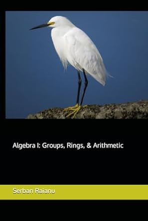 algebra i groups rings and arithmetic 1st edition serban raianu 979-8699509720
