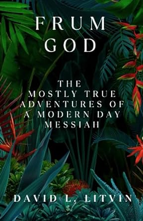 frum god the mostly true adventures of a modern day messiah  david litvin 979-8854975001