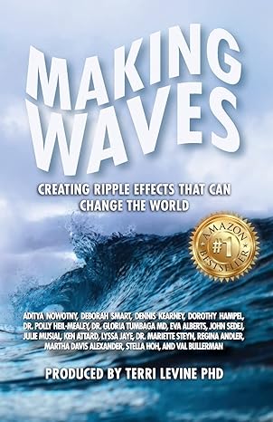 making waves creating ripple effects that can change the world 1st edition terri levine ,lil barcaski ,linda