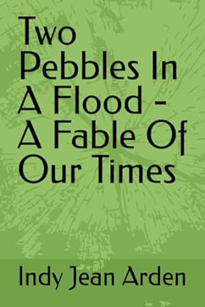two pebbles in a flood a fable of our times  indy jean arden 979-8865072973