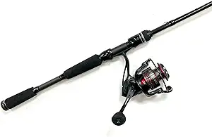 cadence stout spinning reel and essence spinning rod  ‎cadence b0b1dnpv8g