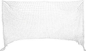 ezgoal hockey replacement net 4 x 6 feet  ?ezgoal b00e255zzy