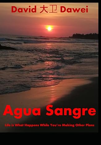 agua sangre life is what happens while you re making other plans 1st edition david dawei 979-8355381578