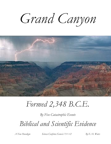 grand canyon a new paradigm 1st edition e h watts 1662924011, 978-1662924019