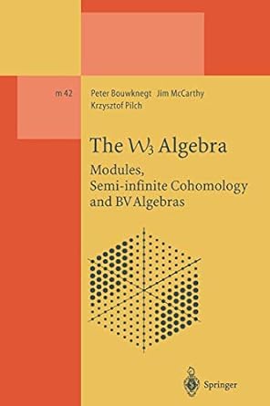 the w3 algebra modules semi infinite cohomology and bv algebras 1st edition peter bouwknegt ,jim mccarthy