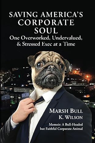 saving america s corporate soul one overworked undervalued and stressed exec at a time 1st edition marsh bull