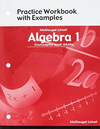 practice workbook with examples mcdougal littell algebra 1 concepts and skills 1st edition mcdougal littel