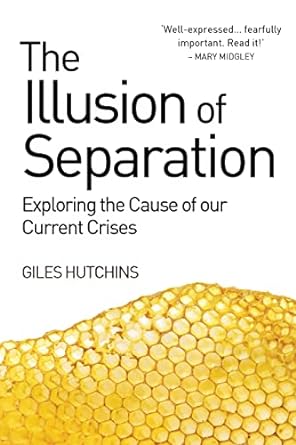 the illusion of separation exploring the cause of our current crises 1st edition giles hutchins 1782501274,