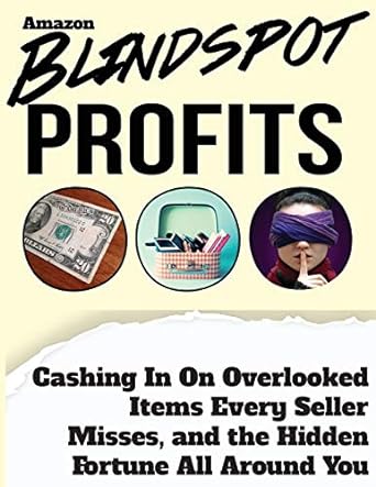 blindspot profits cashing in on overlooked items every amazon seller misses and the hidden fortune all around