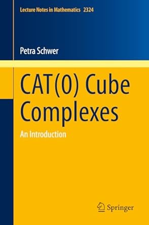 cat cube complexes an introduction 1st edition petra schwer 3031436210, 978-3031436215