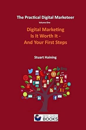 the practical digital marketeer volume one digital marketing is it worth it and your first steps 1st edition