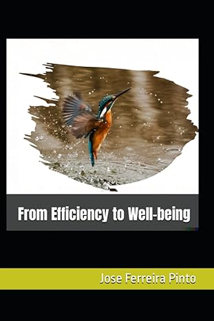 from efficiency to well being 1st edition jose ferreira pinto 979-8851513701