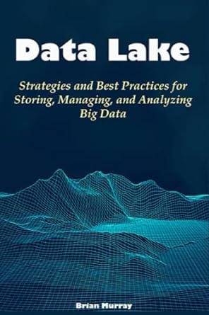 data lake strategies and best practices for storing managing and analyzing big data 1st edition brian murray