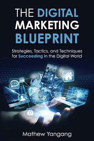 the digital marketing blueprint strategies tactics and techniques for succeeding in the digital world 1st