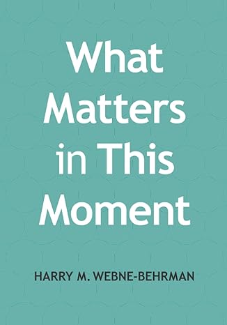 what matters in this moment 1st edition mr. harry michael webne-behrman 979-8757157771