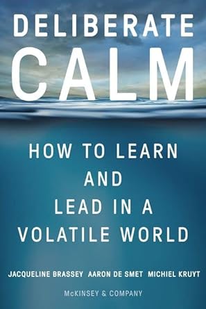deliberate calm how to learn and lead in a volatile world 1st edition jacqueline brassey ,aaron de smet