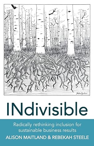 indivisible radically rethinking inclusion for sustainable business results 1st edition alison maitland