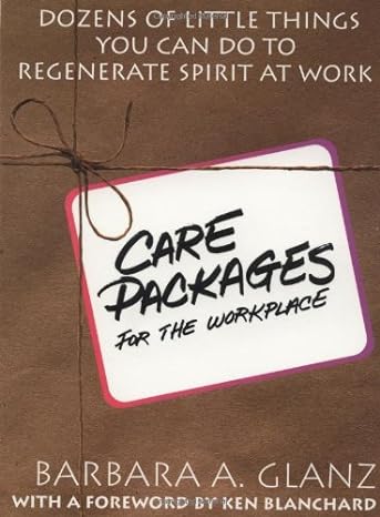 care packages for the workplace dozens of little things you can do to regenerate spirit at work 1st edition