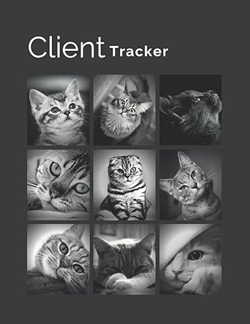 client tracker 1st edition rajabov aleksey 979-8504132358