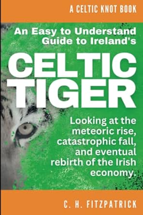 an easy to understand guide to irelands celtic tiger looking at the meteoric rise catastrophic fall and