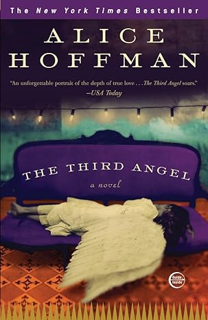 the third angel a novel 1st edition alice hoffman 0307405958, 978-0307405951