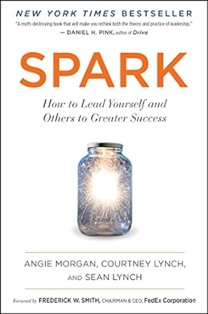 spark how to lead yourself and others to greater success 1st edition angie morgan ,courtney lynch ,sean lynch