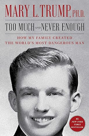too much and never enough how my family created the worlds most dangerous man 1st edition mary l trump
