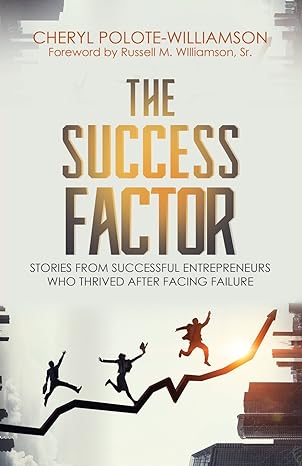 the success factor stories from successful entrepreneurs who thrived after facing failure 1st edition cheryl
