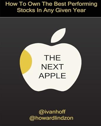 the next apple how to own the best performing stocks in any given year 1st edition ivaylo ivanov ,howard