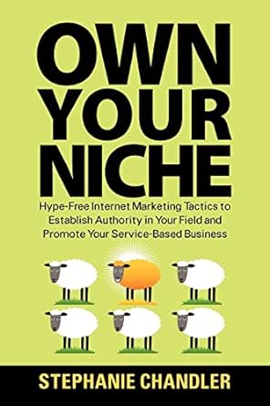 own your niche hype free internet marketing tactics to establish authority in your field and promote your