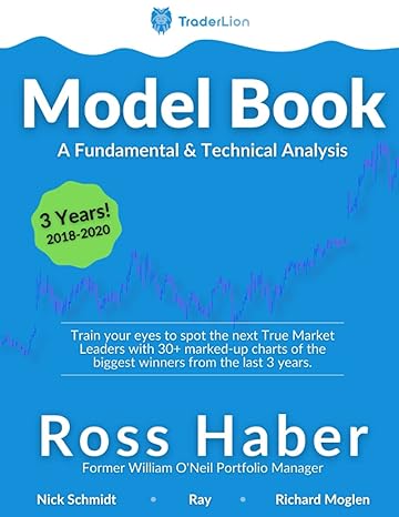 traderlion model book a fundamental and technical analysis 1st edition ross haber ,nick schmidt ,ameet rai