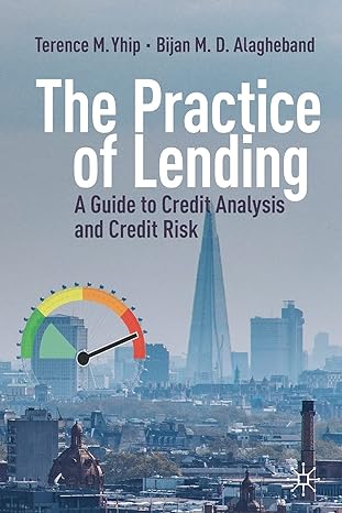 the practice of lending a guide to credit analysis and credit risk 1st edition terence m. yhip ,bijan m. d.