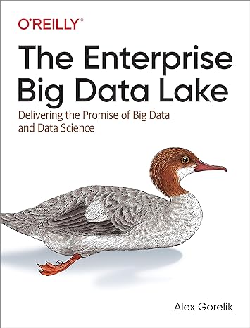 the enterprise big data lake delivering the promise of big data and data science 1st edition alex gorelik