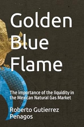 golden blue flame the importance of the liquidity in the mexican natural gas market 1st edition roberto