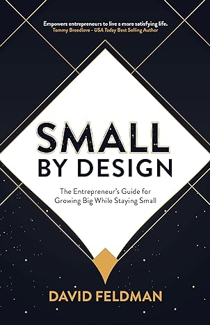 small by design the entrepreneur s guide for growing big while staying small 1st edition david feldman