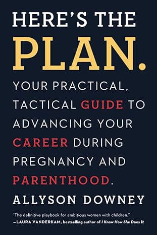 heres the plan your practical tactical guide to advancing your career during pregnancy and parenthood 1st